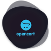 Opencart Modules